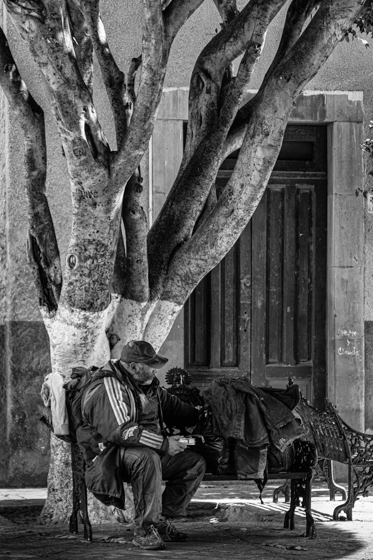 Man Sitting On A Bench Under A Tree