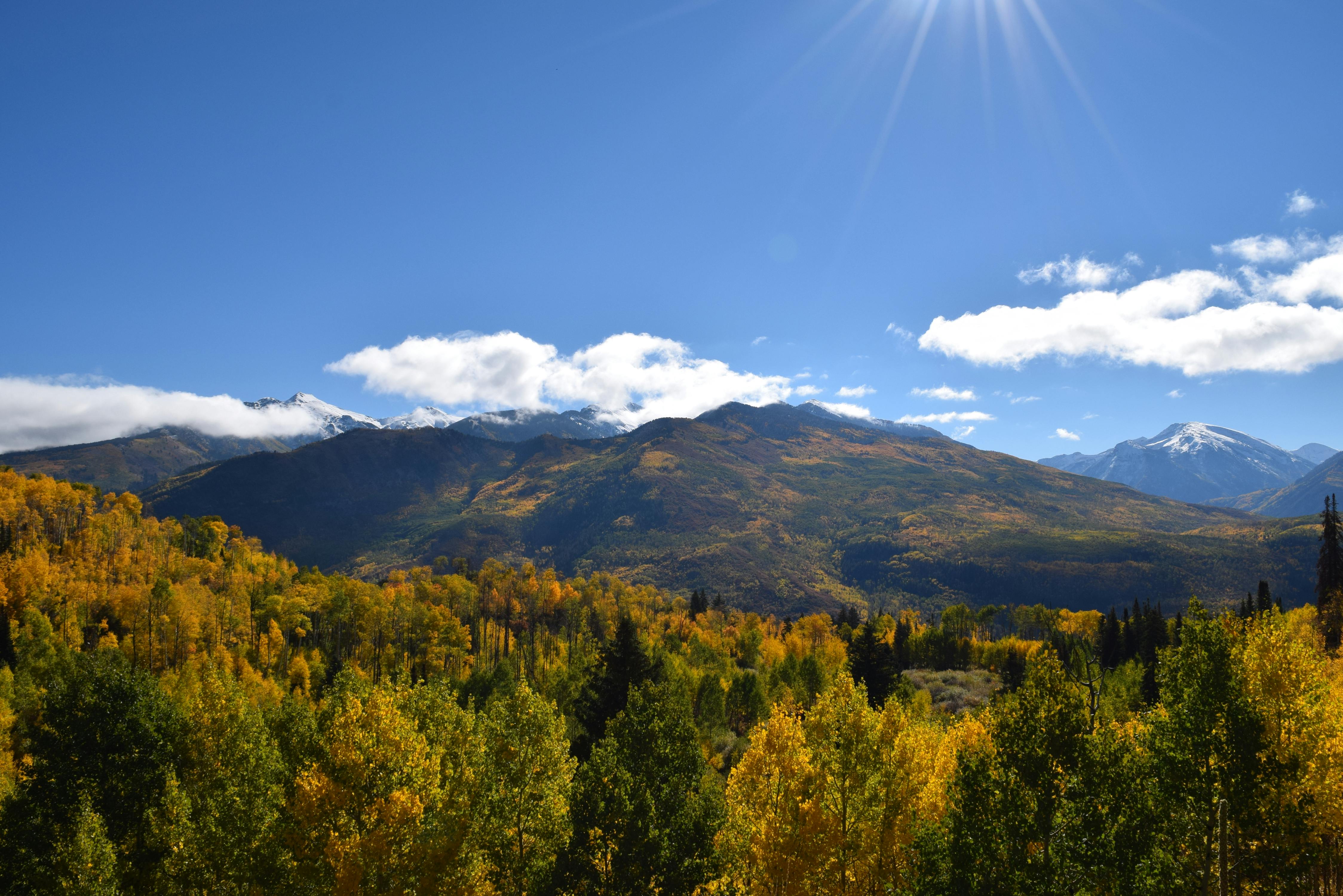 秋日山景令人惊叹，绿树在明亮的天空下成荫