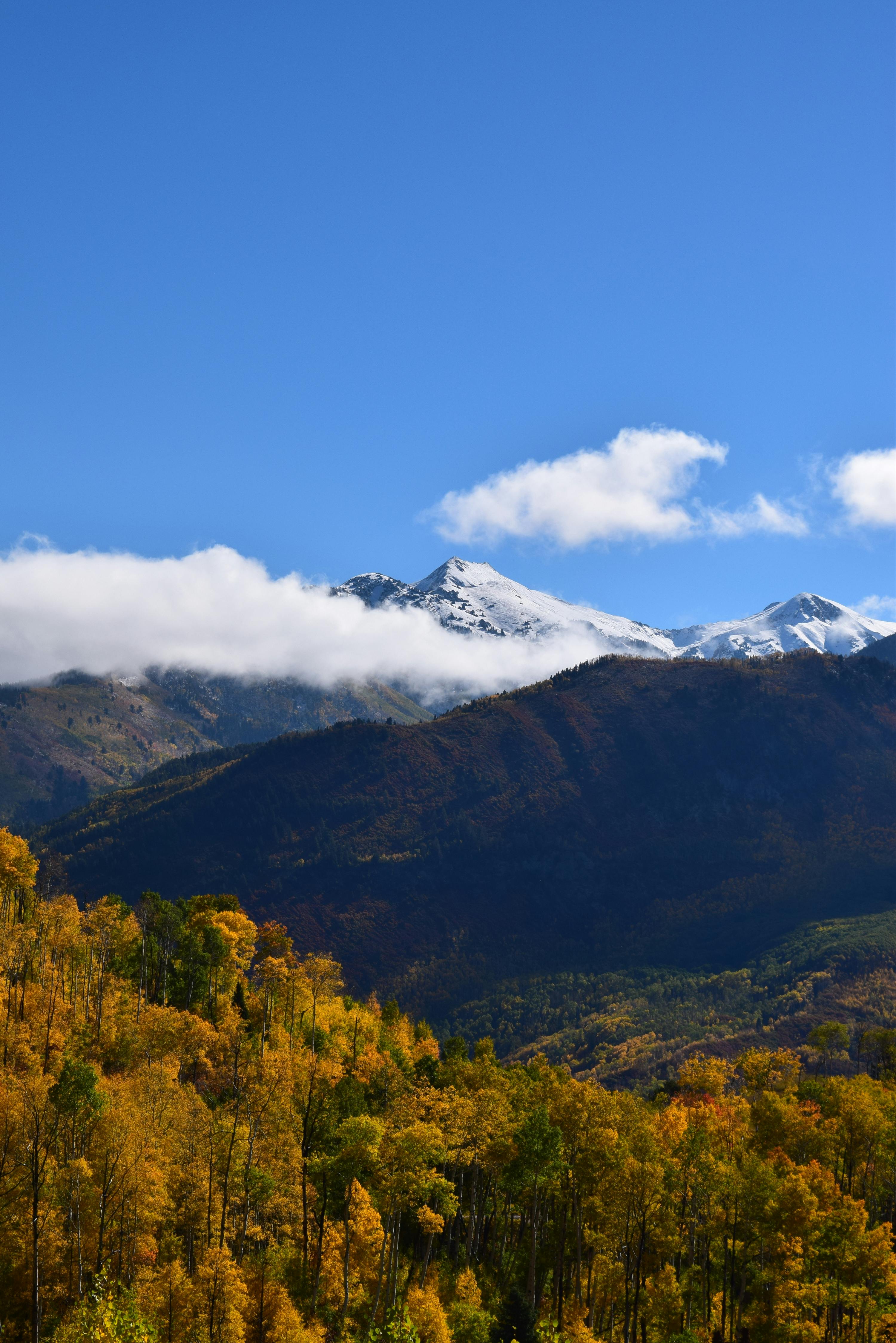 秋日山景秀丽，峰顶白雪皑皑，层林尽染