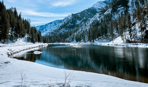 River in Winter Scenery