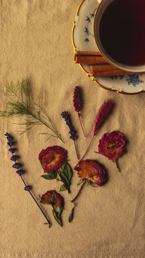 Free Elegant still life of dried flowers and cinnamon beside tea in a porcelain cup. Stock Photo