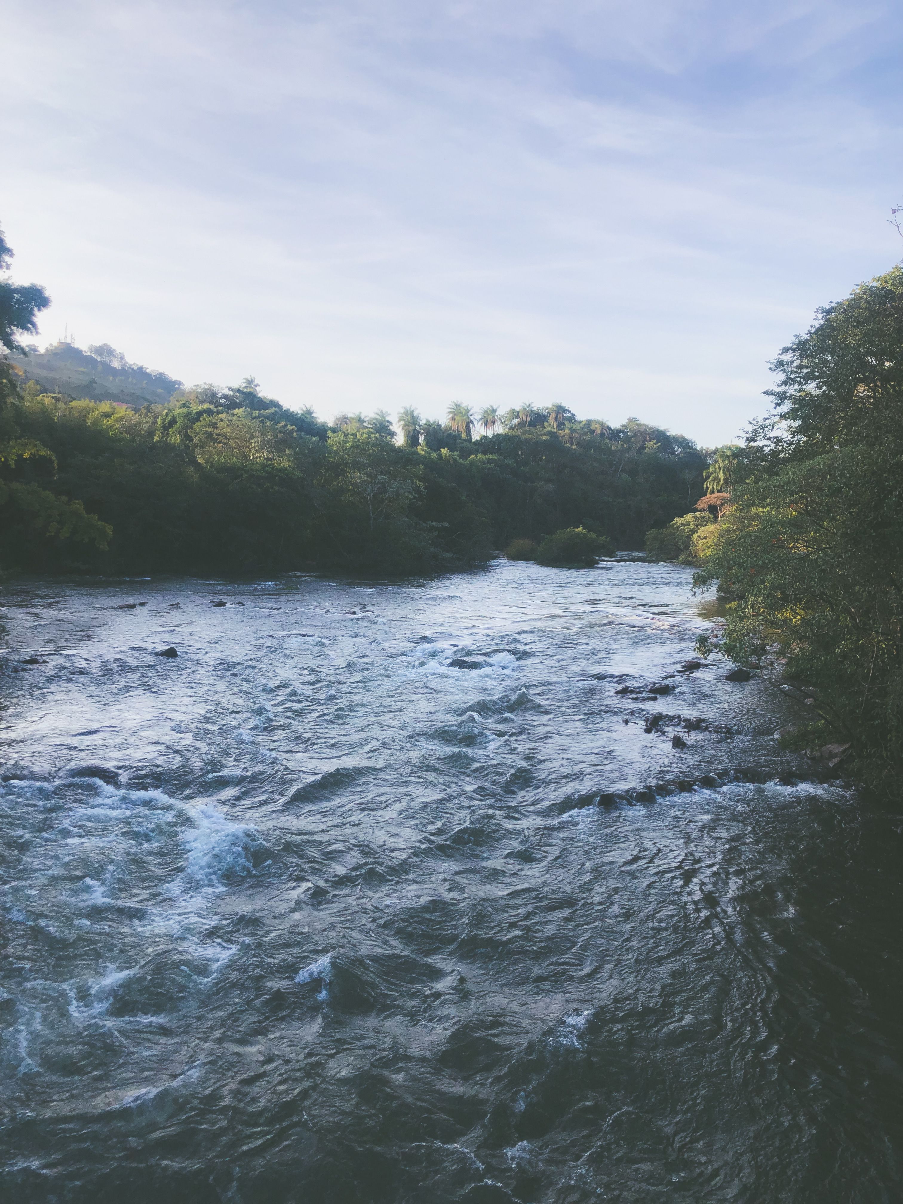 View of a River between Trees · Free Stock Photo
