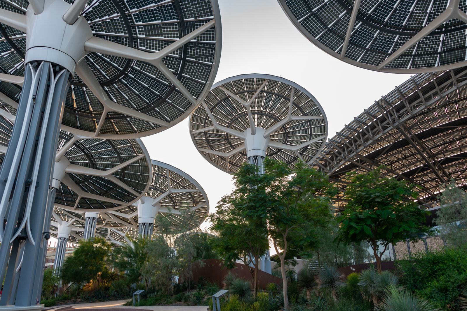 Solar canopy structures outside the Terra sustainability pavilion at Expo City Dubai