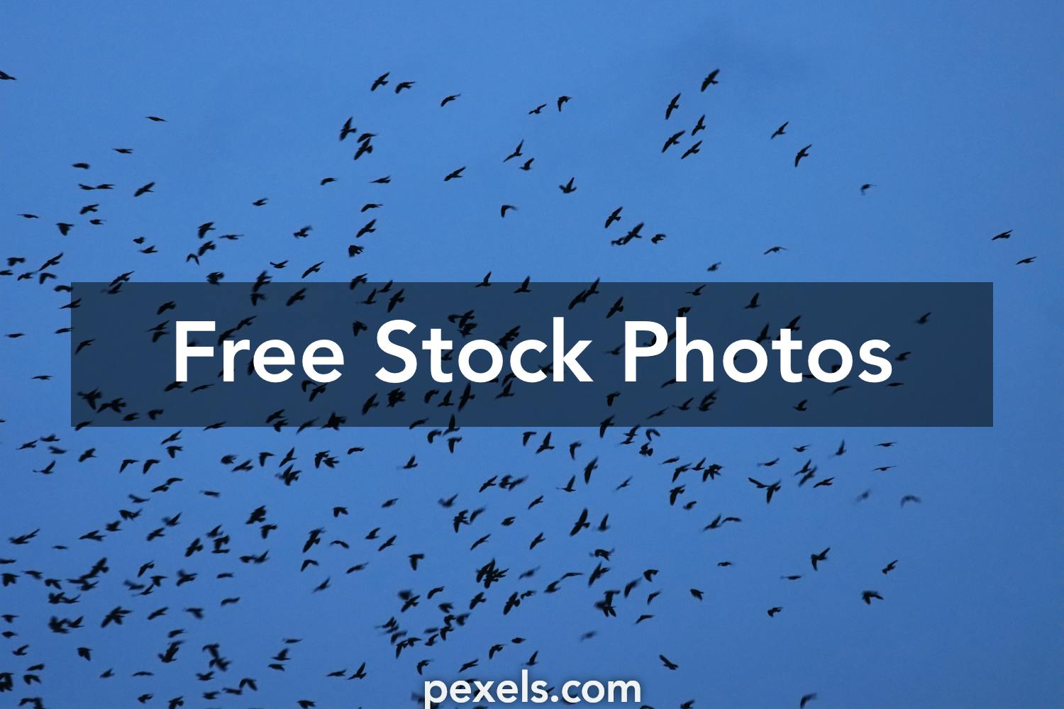 Xnxx Wallpaper Photos, Download The BEST Free Xnxx Wallpaper Stock ...
