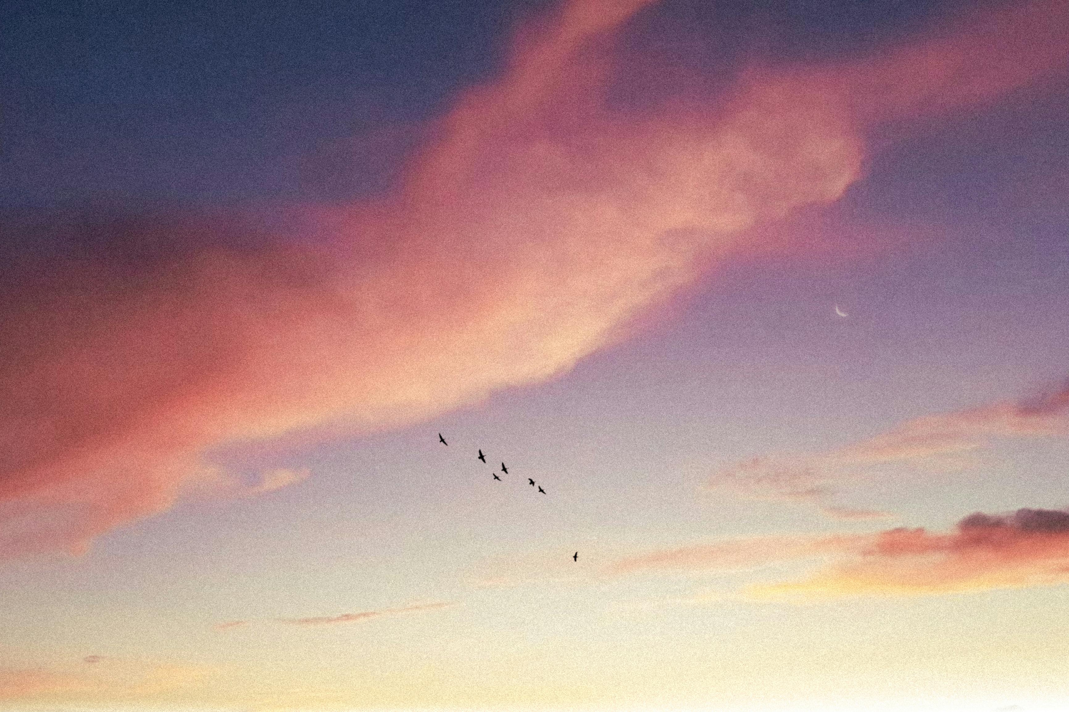 A tranquil scene of birds flying against a colorful sunset sky with pink clouds.