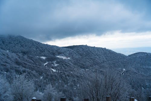 Mountains in Winter