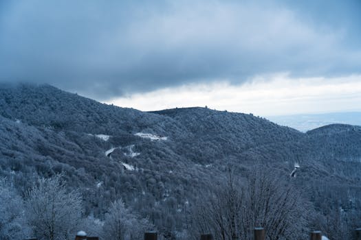 Mesmerizing winter landscape of snow-laden forests in Kartepe, Kocaeli, Türkiye.
