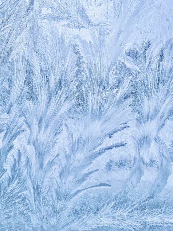 Close-up of a Frozen Texture