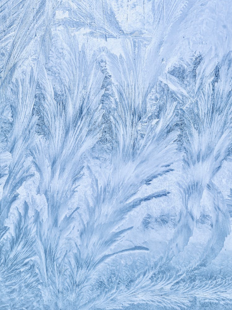 Close-up Of A Frozen Texture