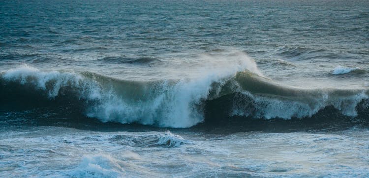 Wave On Sea Shore