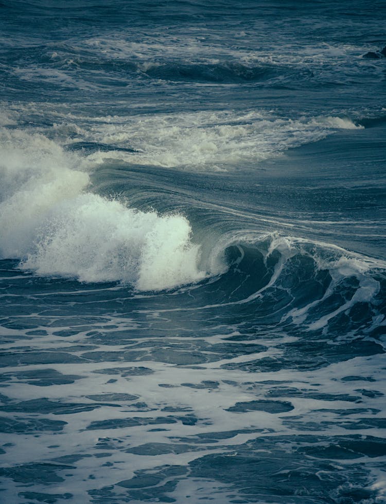 Wave On Sea Shore 