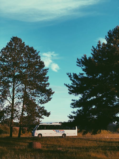 Бесплатное стоковое фото с автобус, вертикальный выстрел, голубое небо