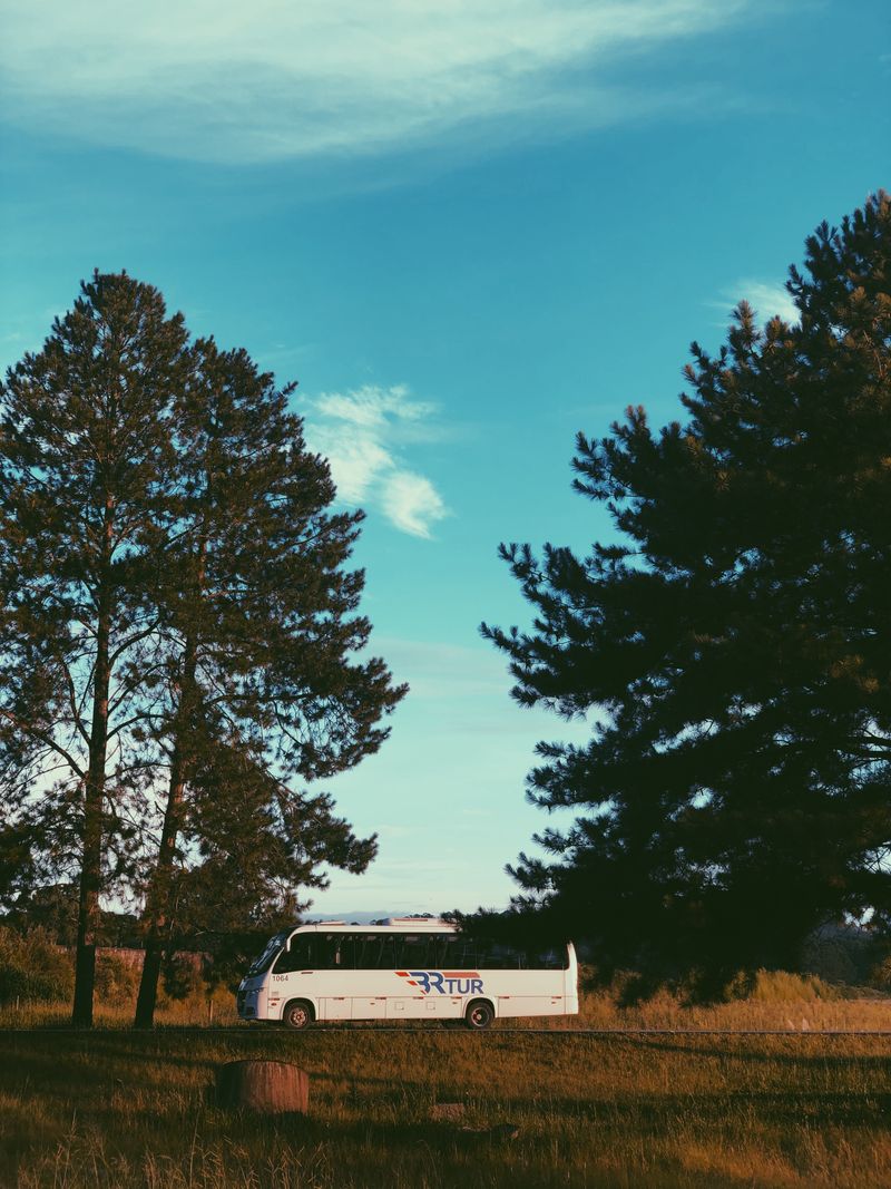 White tour bus on road