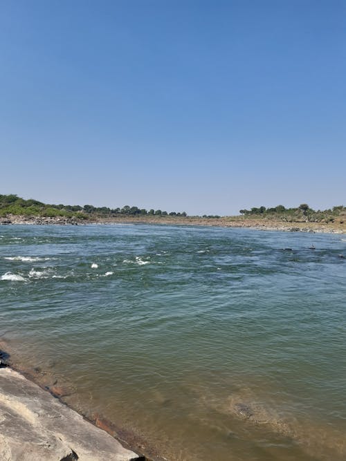 강 흐름, 강둑, 깨끗한 물의 무료 스톡 사진
