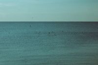 Green sea meeting a low horizon — photo by Aysegul Aytoren on Pexels