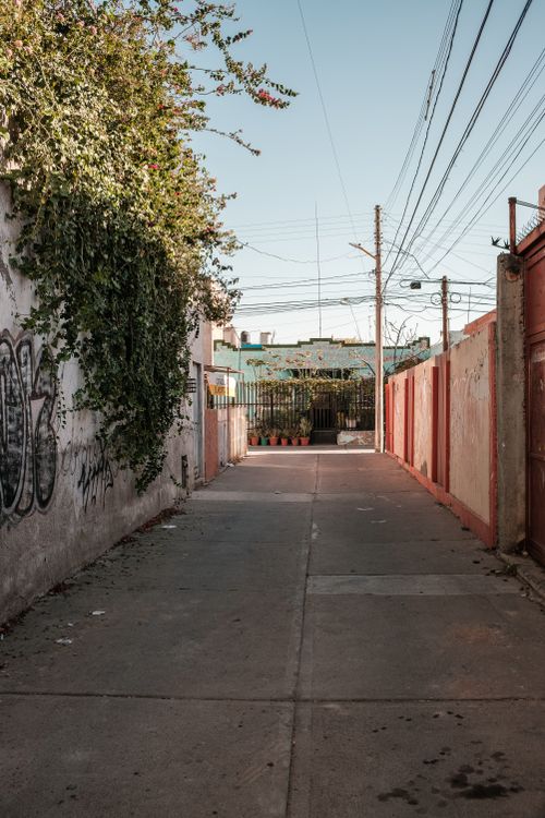 Free Serene urban alley in Aguascalientes, lined with walls and climbing plants, capturing a typical neighborhood scene. Stock Photo