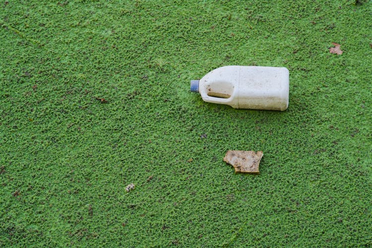 A White Plastic Bottle On A Mossy Surface