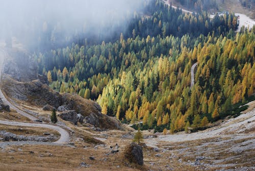 Aerial View of an Autumnal Forest in a Mountain Valley 