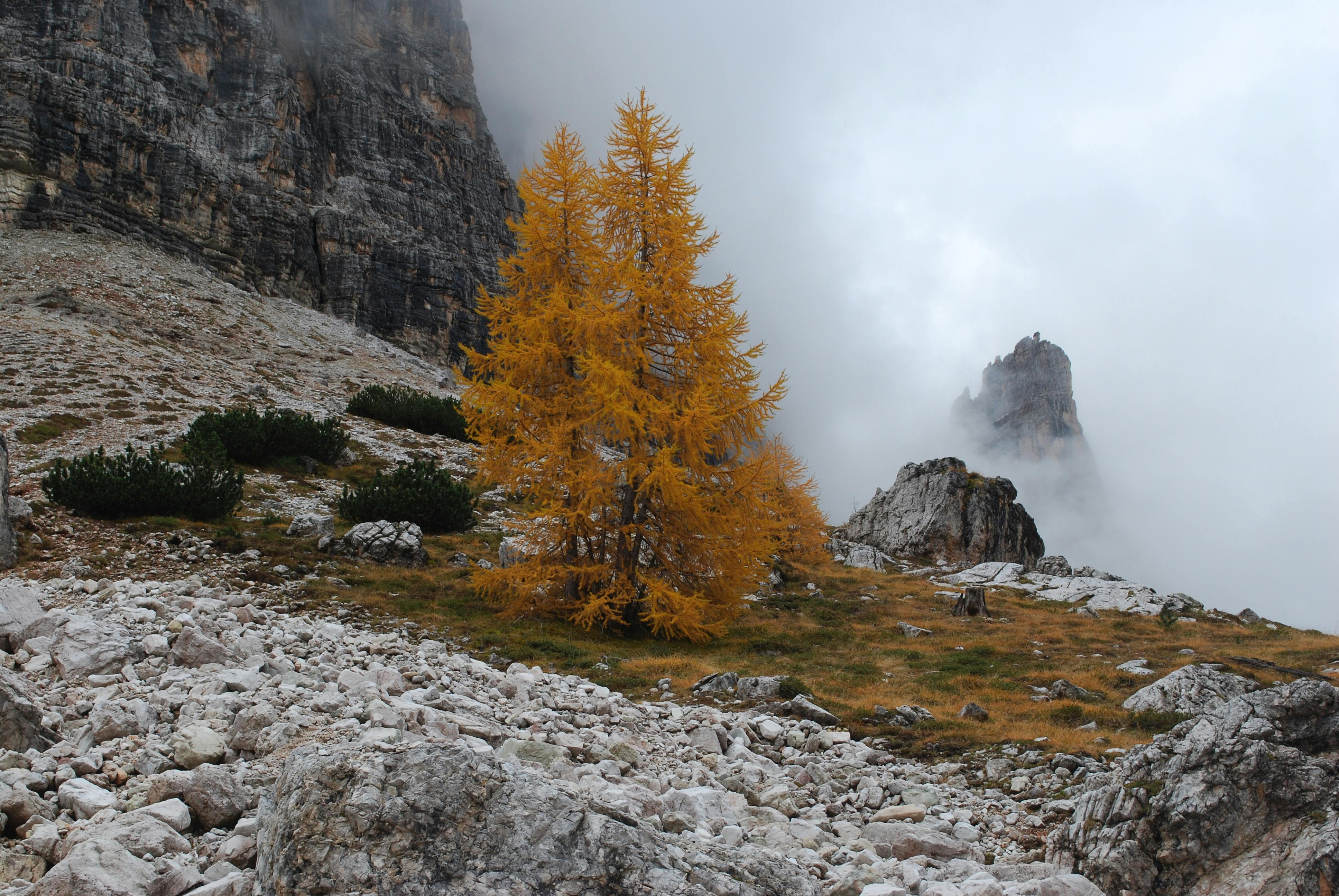 Welcoming the Arrival of Fall