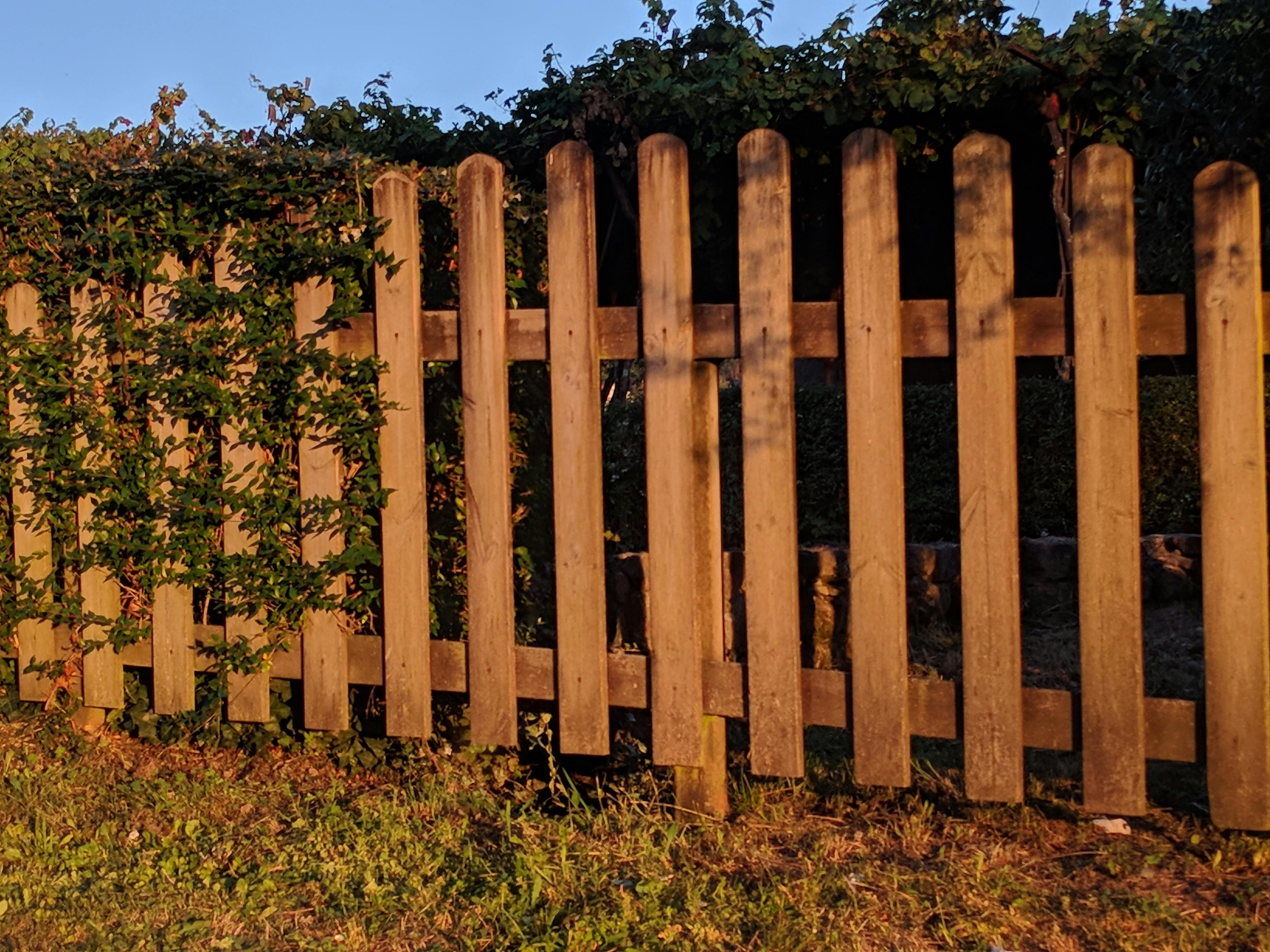 Free stock photo of farm, fence, sunset