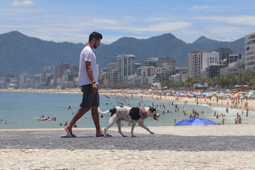 Man Walking with a Dog near Beach