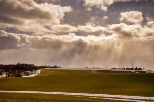 曇り空, 緑の景色, 草原の無料の写真素材