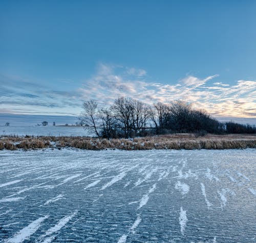 Frozen Lake in Winter