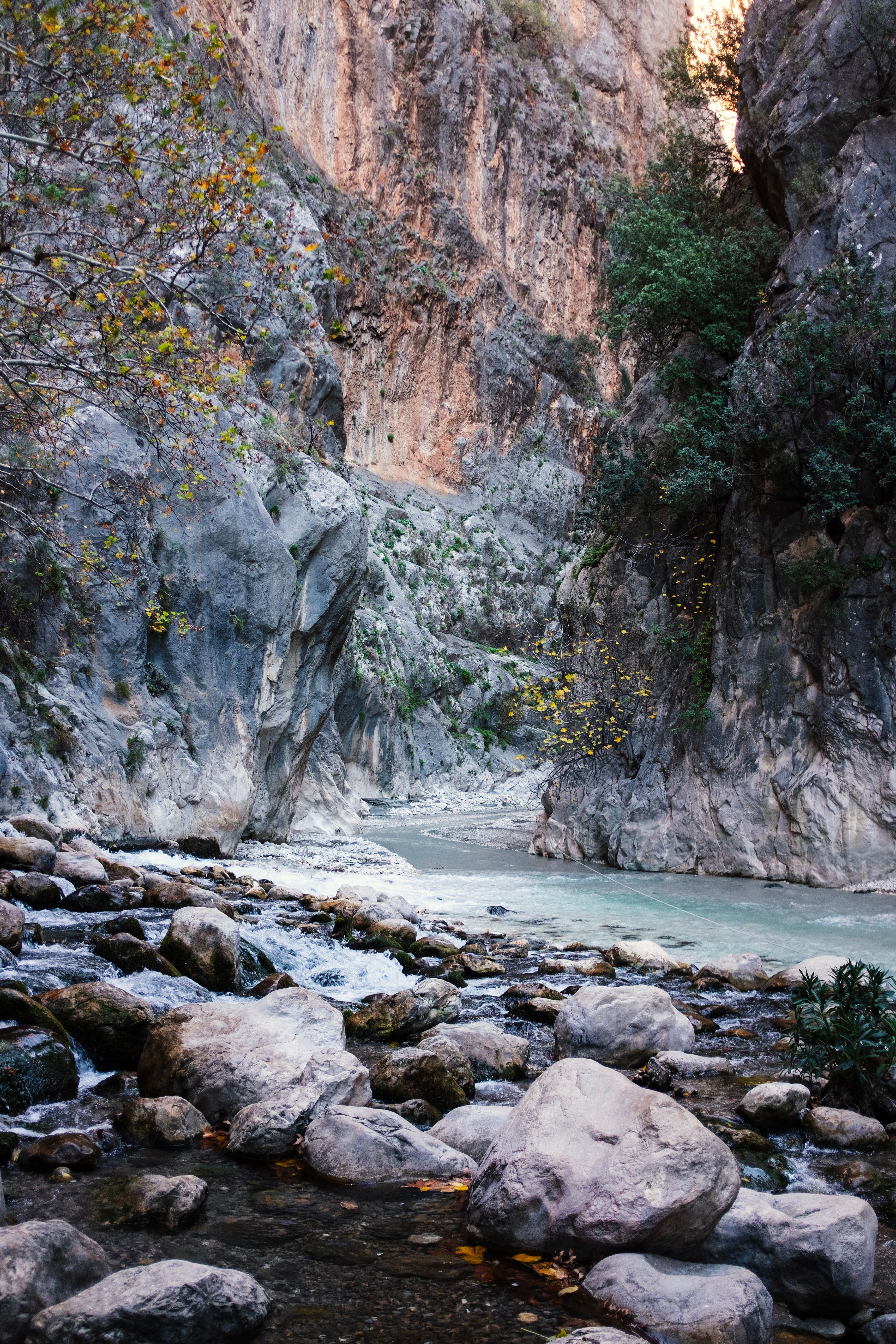 Gray Rocks on the River · Free Stock Photo