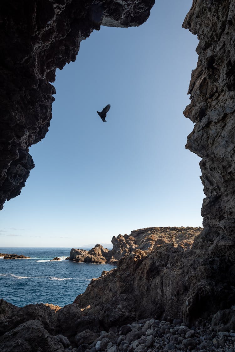 A Bird Flying Near The Cave