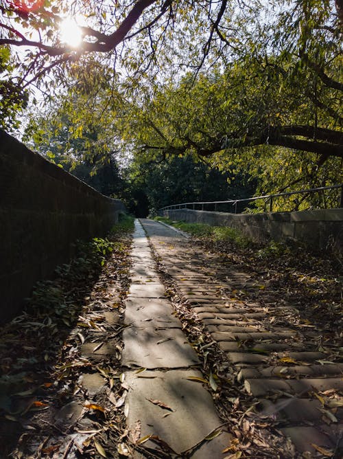 Foto d'estoc gratuïta de cobbles, pont, pont de llambordes