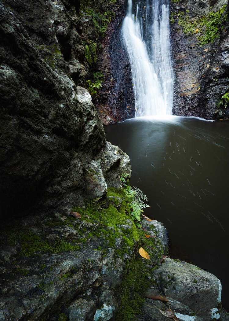 Waterfall In Rocky Mountains 