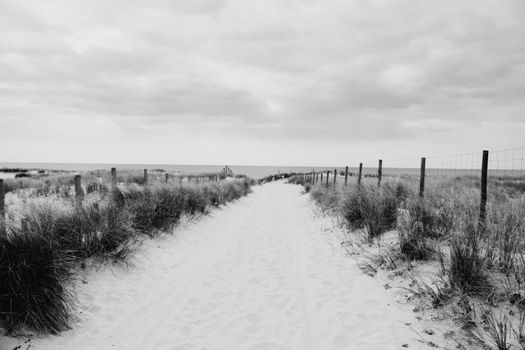 path to the beach 