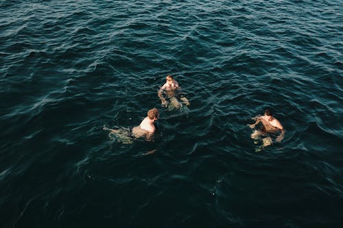 Men Swimming in a Sea 