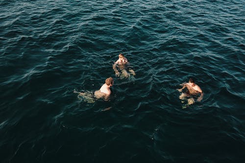 Fotobanka s bezplatnými fotkami na tému aktívny, kývať, leto