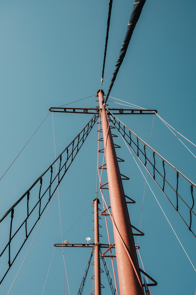 Electricity Pole In Sunlight 