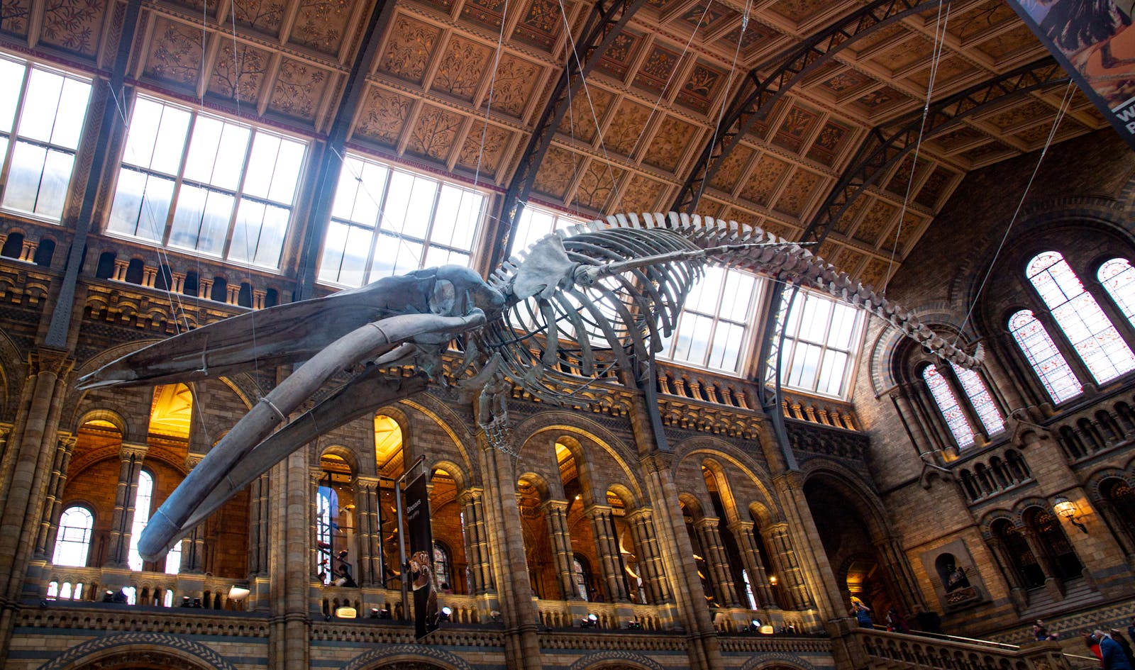 museum of history