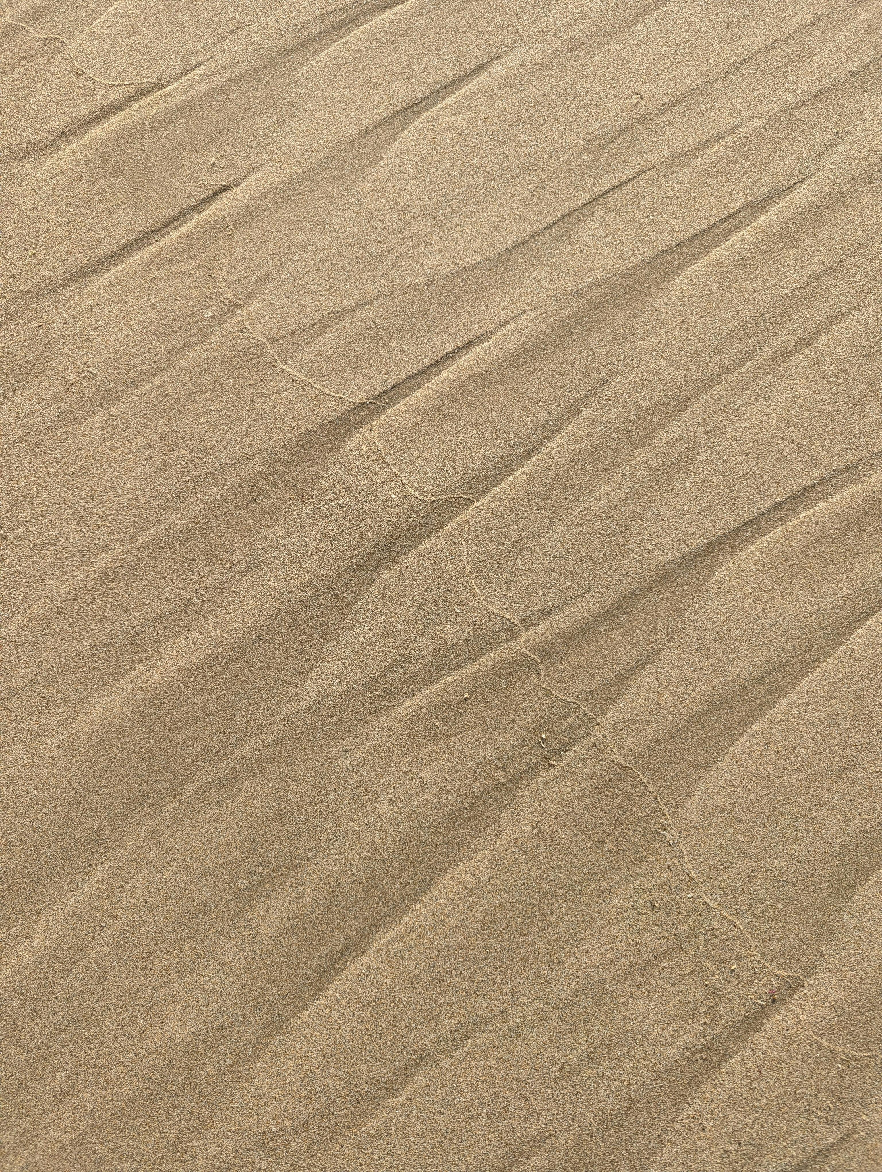 sand on beach or desert