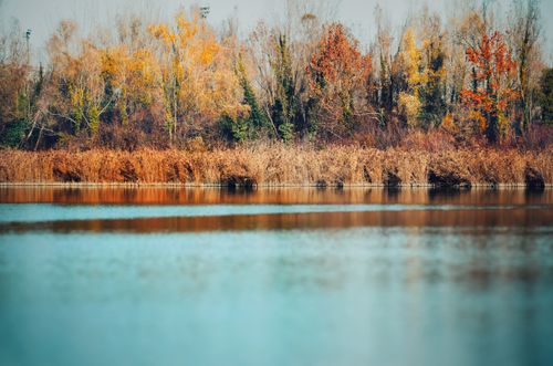 Free Tranquil autumn scene featuring a peaceful lake and colorful autumn trees. Stock Photo