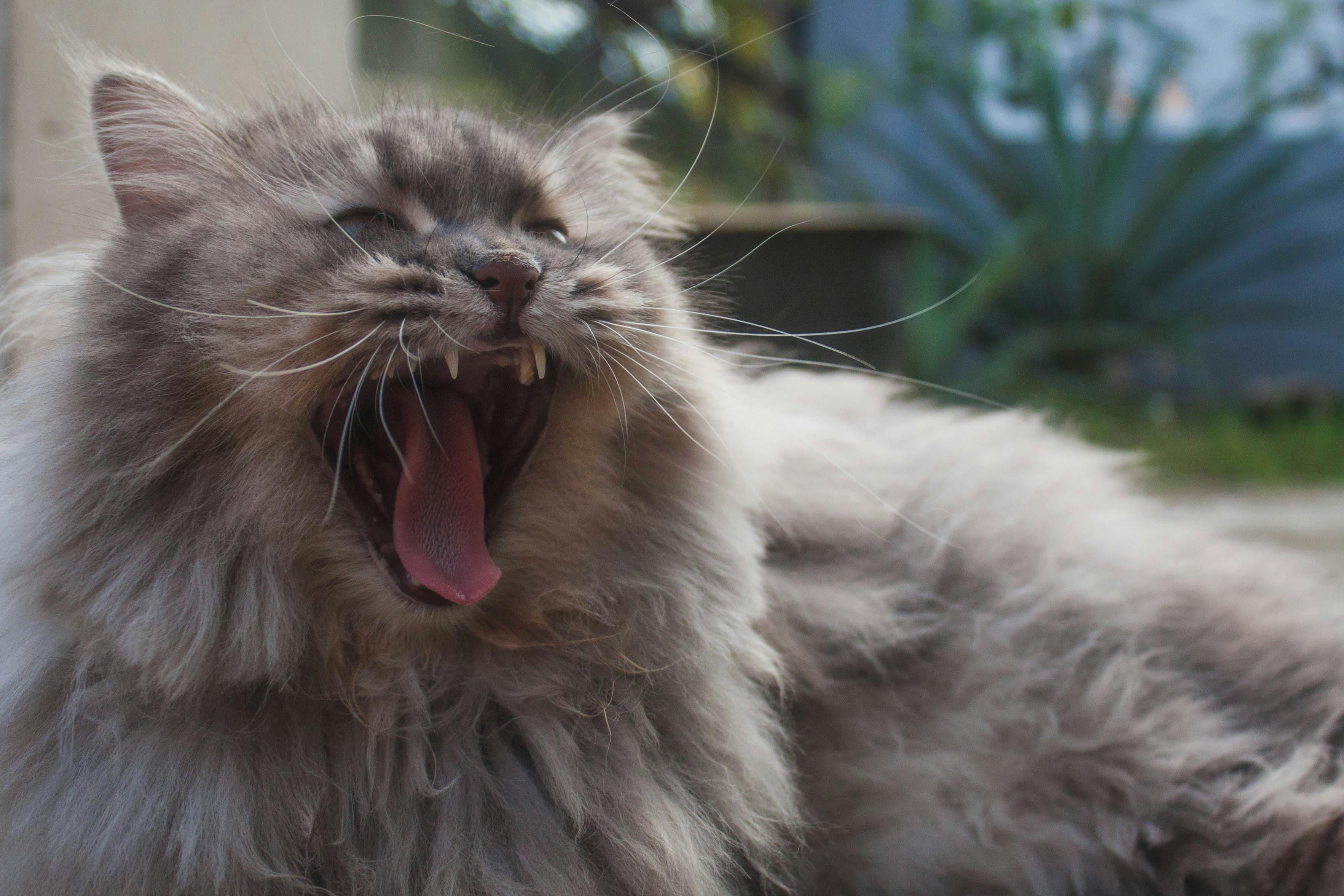 Vista noturna da cidade de Taipei com o Taipei 101