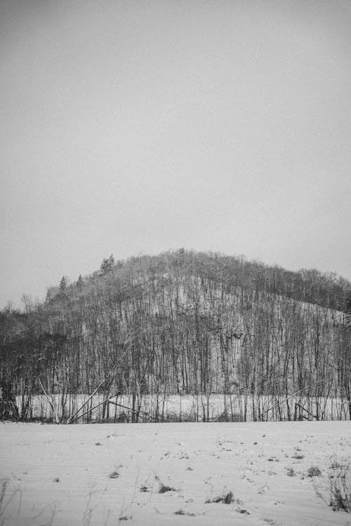 Kostnadsfri bild av kall, kulle, landskap