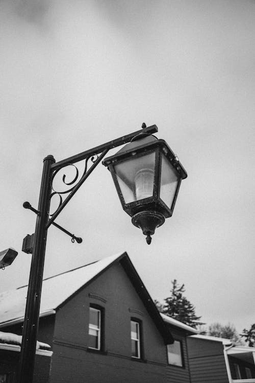 Monochrome Photo of Street Lamp