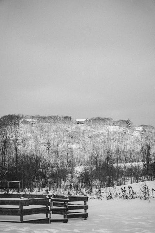 Kostnadsfri bild av kall, kulle, landskap