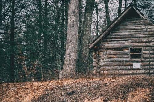 Free A rustic log cabin sits hidden among dense forest trees, creating a peaceful rural setting. Stock Photo
