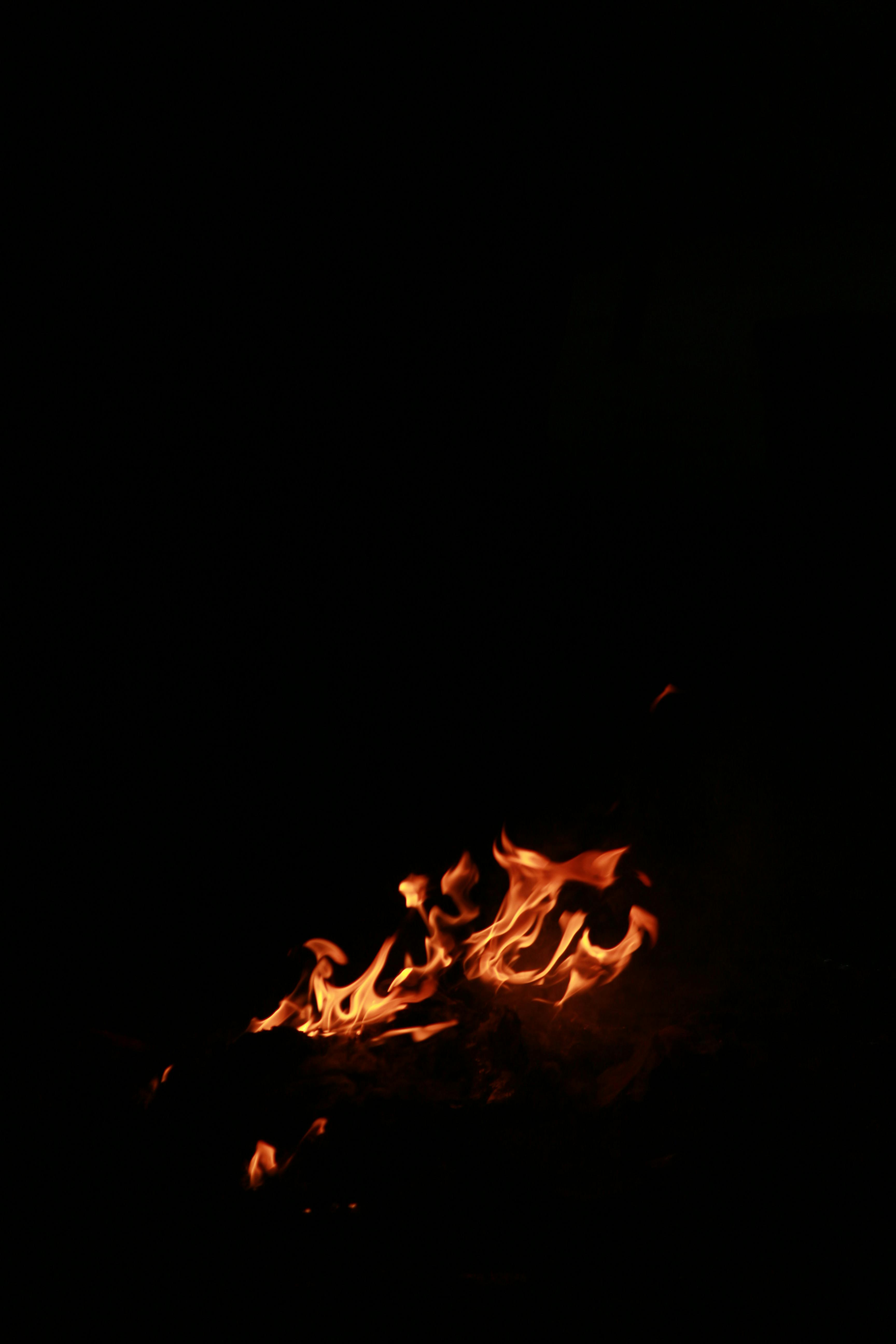 Free stock photo of fire, wood fire