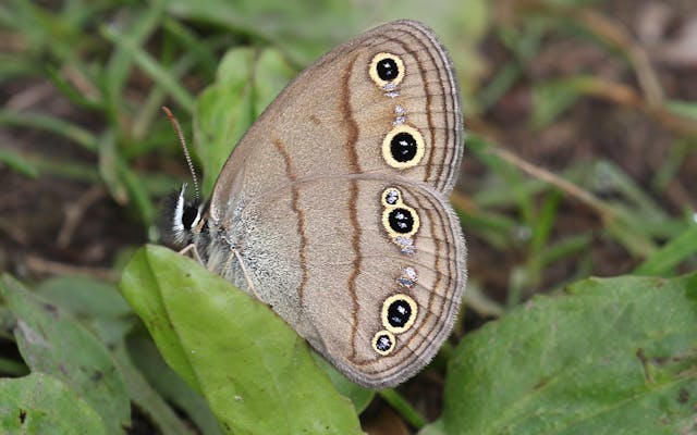 投资回报率计算公式详解