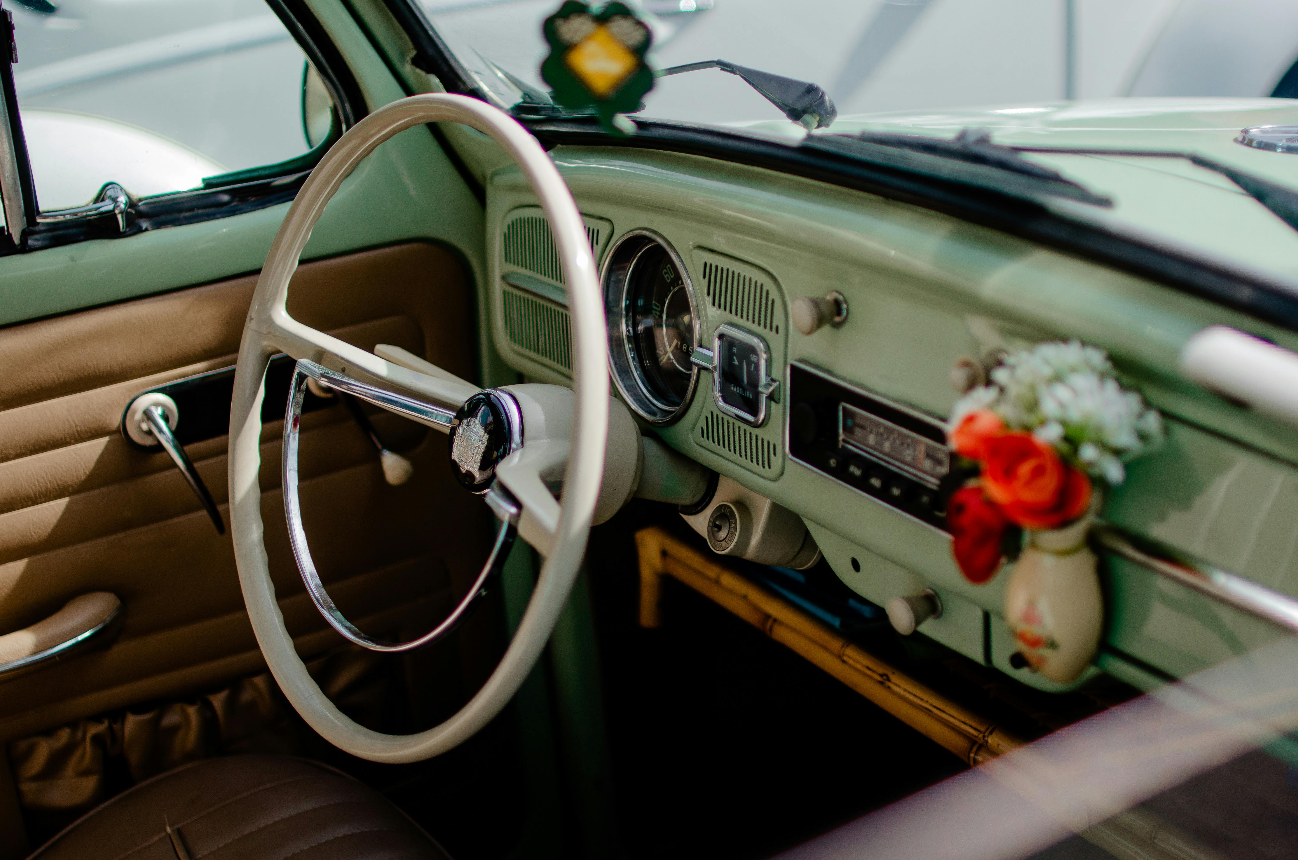 Goliath Beetle Photos, Download The BEST Free Goliath Beetle Stock