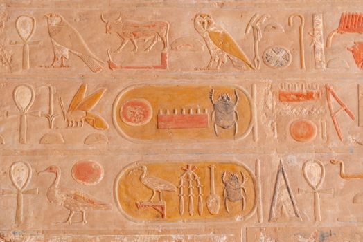 Close-up of ancient Egyptian hieroglyphs carved into a stone wall, showcasing historic symbols.