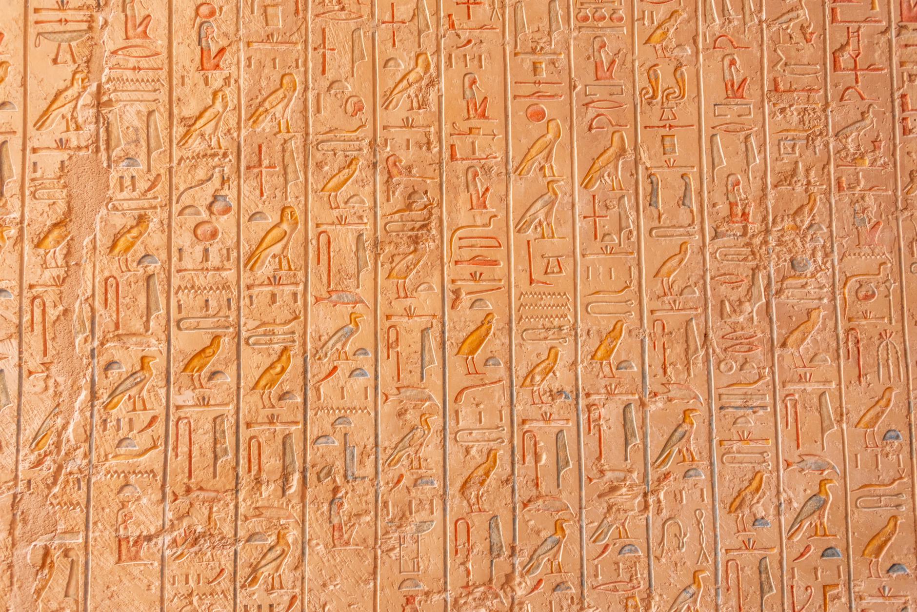 Close-up of intricate Egyptian hieroglyphs carved on a stone wall showcasing history and archaeology.