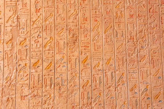 Close-up of intricate Egyptian hieroglyphs carved on a stone wall showcasing history and archaeology.