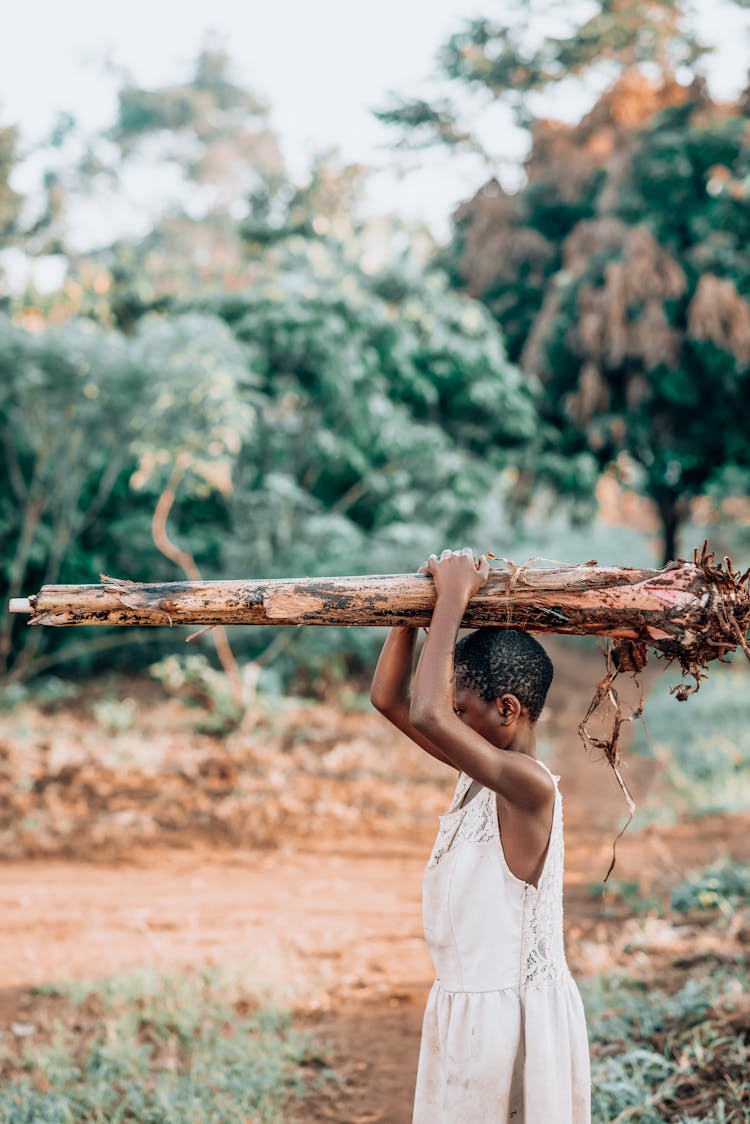 Girl Carrying Wood Near Trees